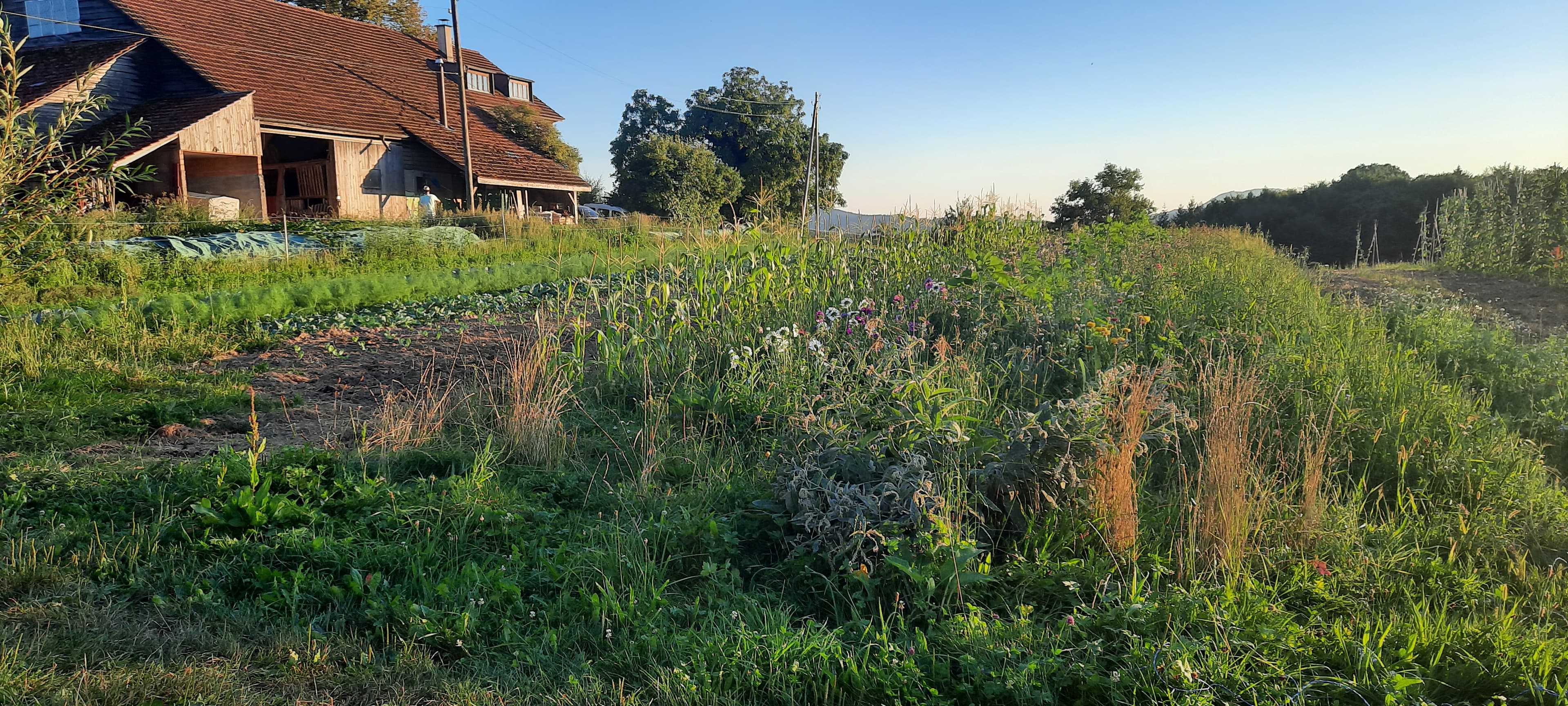 Der Geisshof Gebenstorf
