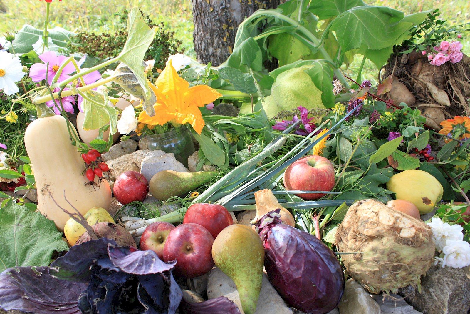 Gemeinsam, solidarisch, frisch